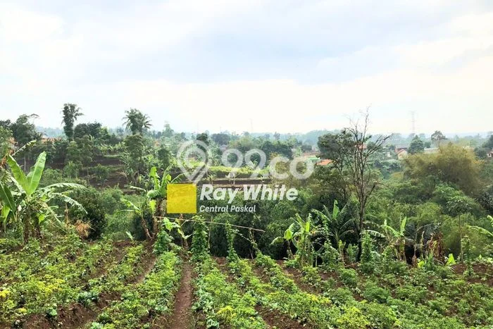 Tanah Dijual Lokasi Ngamprah, Bandung Barat Luas 13065m2 Legalitas Aman Tanah Dijual Lokasi Ngamprah, Bandung Barat Luas 13065m2 Legalitas Aman