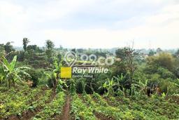 Tanah di Ngamprah, Bandung Barat Luas 13065m2 Dijual Segera Tanah di Ngamprah, Bandung Barat Luas 13065m2 Dijual Segera