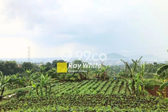 Tanah Dijual Lokasi Ngamprah, Bandung Barat Luas 13065m2 Legalitas Aman Tanah Dijual Lokasi Ngamprah, Bandung Barat Luas 13065m2 Legalitas Aman