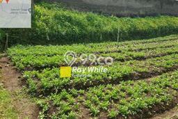 Tanah Dijual di Bandung Seluas 185m2 Strategis Tanah Dijual di Bandung Seluas 185m2 Strategis