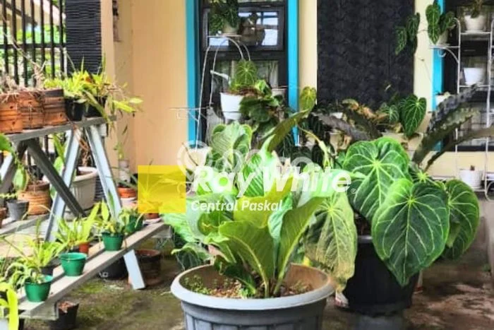 Jual Rumah Favorit Siap Huni LB 250m2 di Sumedang Utara, Sumedang Jual Rumah Favorit Siap Huni LB 250m2 di Sumedang Utara, Sumedang