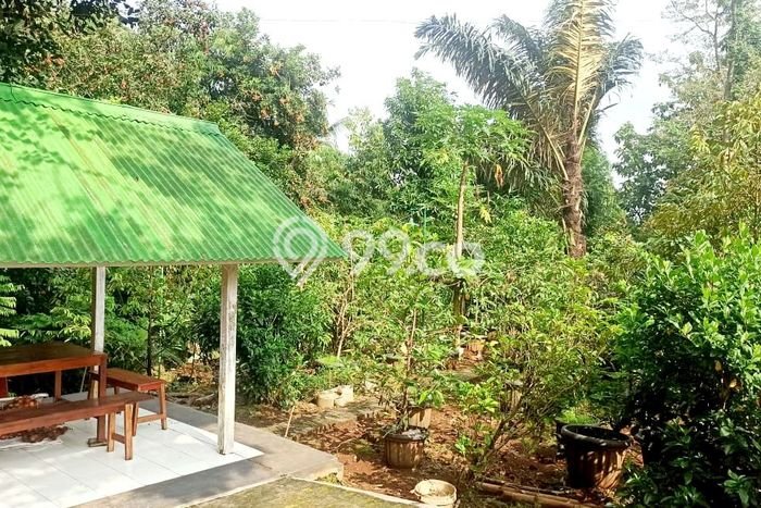 For Sale Rumah 3 Kamar Lokasi Ideal Bagus dan Strategis di Cibatu For Sale Rumah 3 Kamar Lokasi Ideal Bagus dan Strategis di Cibatu
