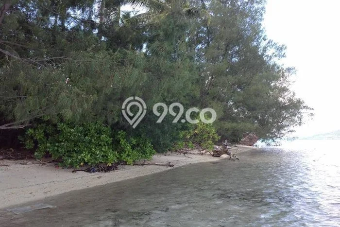 Lahan Dijual Lokasi Karimunjawa, Jepara dengan Luas Tanah 445545m2 dan Status SHM Lahan Dijual Lokasi Karimunjawa, Jepara dengan Luas Tanah 445545m2 dan Status SHM