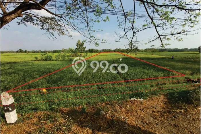 Tanah Komersial Dijual di Balerejo Madiun 7700m2 Tanah Komersial Dijual di Balerejo Madiun 7700m2
