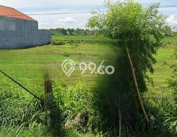 Tanah Strategis Dijual di Nganjuk Nganjuk 7450m2 Tanah Strategis Dijual di Nganjuk Nganjuk 7450m2