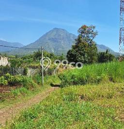 Tanah Kavling Dijual di Malang dengan Spesifikasi 1652m2 Tanah Kavling Dijual di Malang dengan Spesifikasi 1652m2
