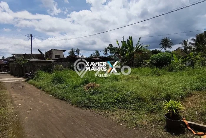 Kavling Tanah Dijual di Dampit, Malang, Luas 300m2 Area Strategis Kavling Tanah Dijual di Dampit, Malang, Luas 300m2 Area Strategis