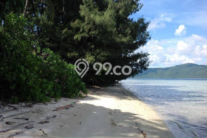 Lahan Dijual Lokasi Karimunjawa, Jepara dengan Luas Tanah 445545m2 dan Status SHM Lahan Dijual Lokasi Karimunjawa, Jepara dengan Luas Tanah 445545m2 dan Status SHM