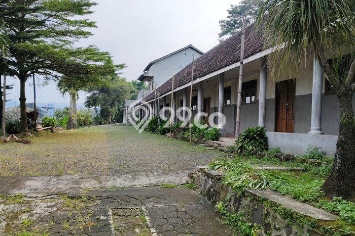 Komersial Usaha Dijual di Lawang Malang LT 3170m2 & LB 1m2 Komersial Usaha Dijual di Lawang Malang LT 3170m2 & LB 1m2