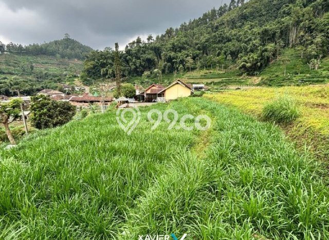 Untuk Dijual Tanah di Bumiaji Batu Luas 1004m2 SHM Untuk Dijual Tanah di Bumiaji Batu Luas 1004m2 SHM