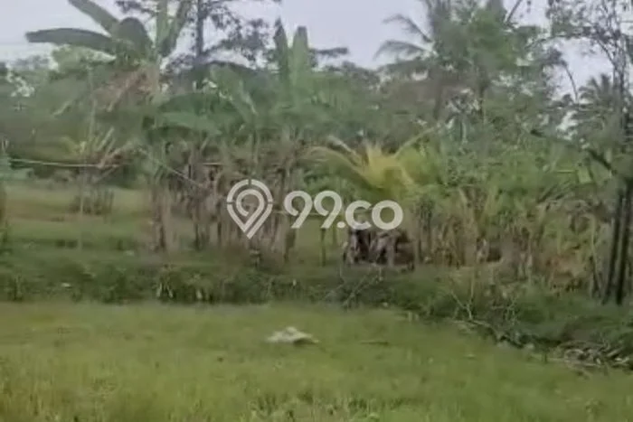 Tanah Dijual Area Strategis di Tanjung Lesung Pandeglang 41666m2 Tanah Dijual Area Strategis di Tanjung Lesung Pandeglang 41666m2
