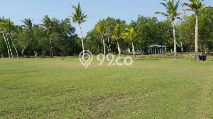 Tanah Dijual Area Strategis di Tanjung Lesung Pandeglang 41666m2 Tanah Dijual Area Strategis di Tanjung Lesung Pandeglang 41666m2