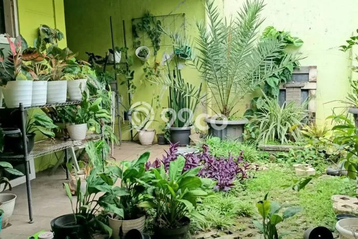 Rumah sewa siap huni 2 KT di Jatimelati, Bekasi Rumah sewa siap huni 2 KT di Jatimelati, Bekasi