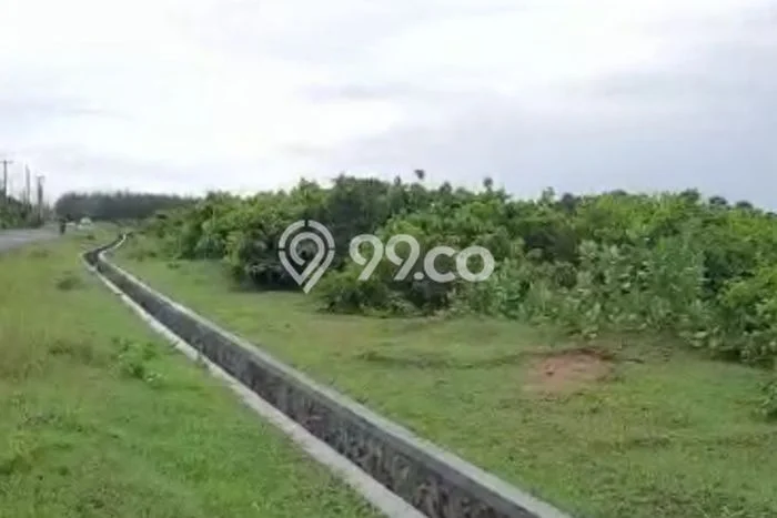 Tanah Strategis Dijual di Malingping Lebak 5000m2 Tanah Strategis Dijual di Malingping Lebak 5000m2