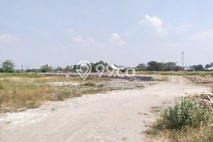 Dijual Tanah 1000m2 di Banjardowo, Semarang Dijual Tanah 1000m2 di Banjardowo, Semarang