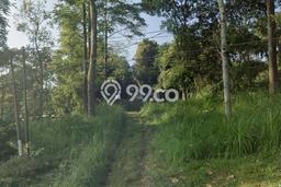 Tanah Dijual Area Strategis di Kopeng Salatiga 14000m2 Tanah Dijual Area Strategis di Kopeng Salatiga 14000m2