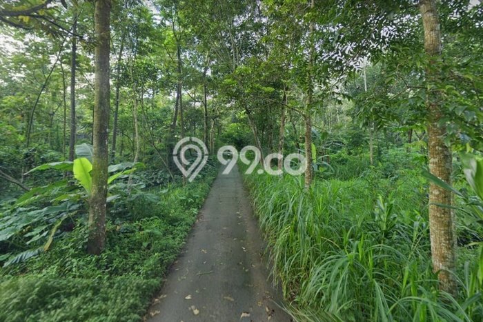Tanah Kavling untuk Dijual di Argomulyo Salatiga 10000m2 Tanah Kavling untuk Dijual di Argomulyo Salatiga 10000m2
