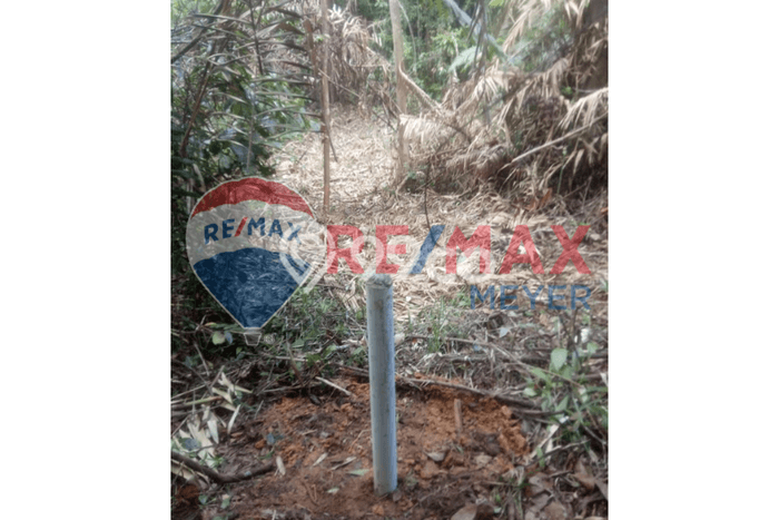 Kavling Tanah Dijual di Penajam Penajam Paser Utara Spesifikasi 10974m2 Kavling Tanah Dijual di Penajam Penajam Paser Utara Spesifikasi 10974m2