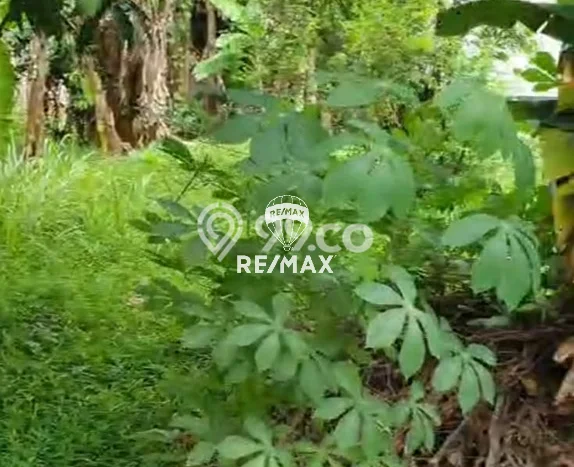 Untuk Dijual Tanah di Cikarang Utara Cikarang Luas 462m2 SHM Untuk Dijual Tanah di Cikarang Utara Cikarang Luas 462m2 SHM