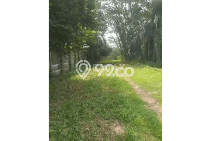 For Sale Tanah di Sindang Jaya, Luas 24000m², Dekat Sindang Jaya, Tangerang, Tangerang For Sale Tanah di Sindang Jaya, Luas 24000m², Dekat Sindang Jaya, Tangerang, Tangerang