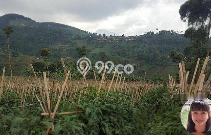 Lahan untuk Dijual Lokasi Coblong, Bandung Luas 40000m2 SHM Lahan untuk Dijual Lokasi Coblong, Bandung Luas 40000m2 SHM