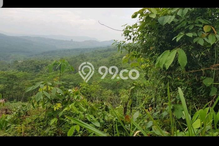 Tanah Kavling di Cibadak Dijual dengan Luas 95000m2 Tanah Kavling di Cibadak Dijual dengan Luas 95000m2