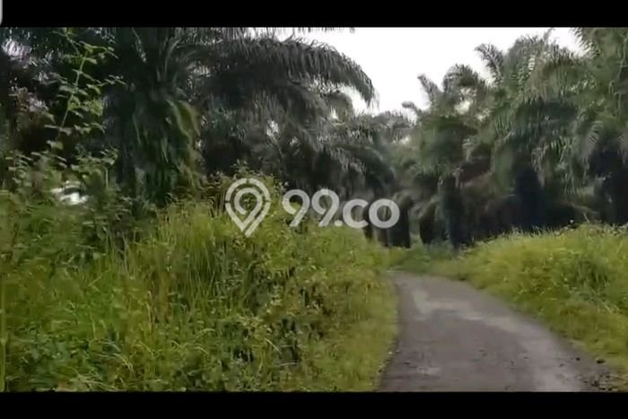Tanah Kavling di Cibadak Dijual dengan Luas 95000m2 Tanah Kavling di Cibadak Dijual dengan Luas 95000m2