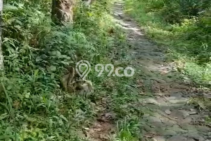 Tanah Kavling di Cibadak Dijual dengan Luas 95000m2 Tanah Kavling di Cibadak Dijual dengan Luas 95000m2