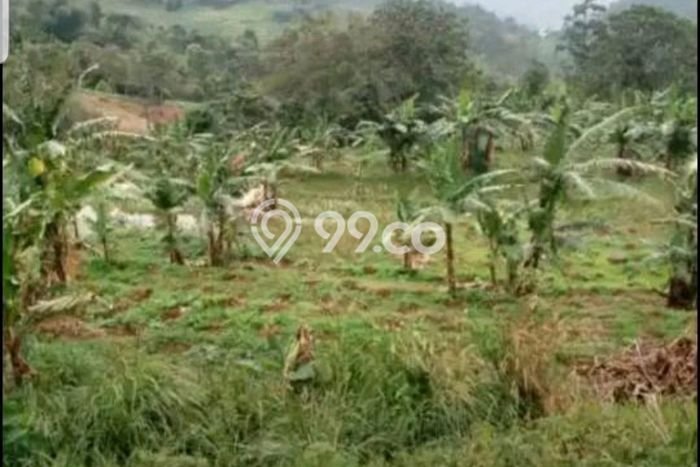 HARGA MENARIK! Tanah Kawasan Cibadak, Luas 12000m², Kawasan Potensial, Bebas Banjir HARGA MENARIK! Tanah Kawasan Cibadak, Luas 12000m², Kawasan Potensial, Bebas Banjir