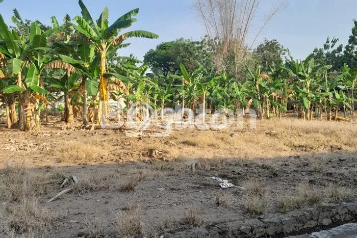 Tanah Lokasi Potensial Kawasan Sukoharjo, Luas 112m², Akses ke Fasilitas, Lingkungan Nyaman Tanah Lokasi Potensial Kawasan Sukoharjo, Luas 112m², Akses ke Fasilitas, Lingkungan Nyaman
