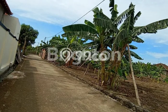 Tanah Area Berkembang di Sukoharjo, Luas 117m², Dekat ke Fasilitas, Lingkungan Nyaman Tanah Area Berkembang di Sukoharjo, Luas 117m², Dekat ke Fasilitas, Lingkungan Nyaman