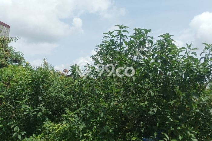 Lahan Dijual Lokasi Cibitung, Bekasi dengan Luas Tanah 268m2 dan Status SHM Lahan Dijual Lokasi Cibitung, Bekasi dengan Luas Tanah 268m2 dan Status SHM