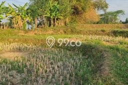 Dijual Tanah 4500m2 di Cikarang, Bekasi Dijual Tanah 4500m2 di Cikarang, Bekasi