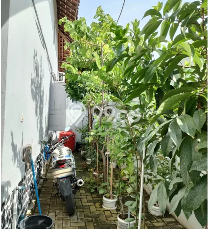 HARGA SPECIAL! Rumah Nyaman di Balapulang, Tegal, Luas 461m2m² Bangunan 250m2m² Bisa Nego! HARGA SPECIAL! Rumah Nyaman di Balapulang, Tegal, Luas 461m2m² Bangunan 250m2m² Bisa Nego!