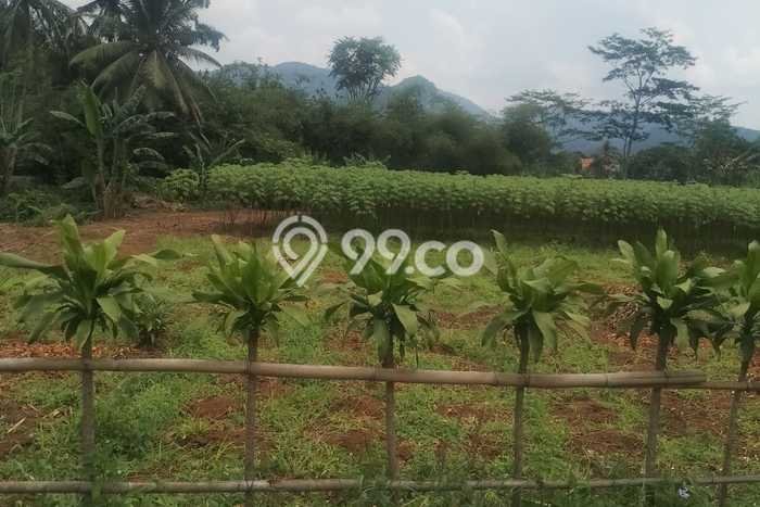 Lahan Strategis di Rumpin Dijual dengan Luas 2875m2 Lahan Strategis di Rumpin Dijual dengan Luas 2875m2