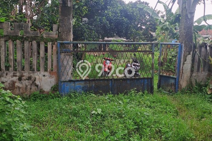 Tanah di Ciseeng, Bogor Luas 5000m2 Dijual Segera Tanah di Ciseeng, Bogor Luas 5000m2 Dijual Segera