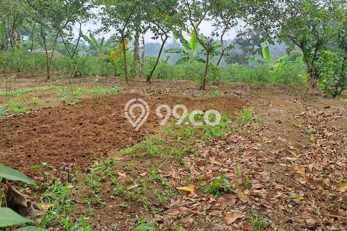Dijual Tanah di Caringin Bogor Luas 2500m2 AJB Dijual Tanah di Caringin Bogor Luas 2500m2 AJB