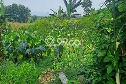 Lahan Dijual Lokasi Kemang, Bogor dengan Luas Tanah 500m2 dan Status SHM Lahan Dijual Lokasi Kemang, Bogor dengan Luas Tanah 500m2 dan Status SHM
