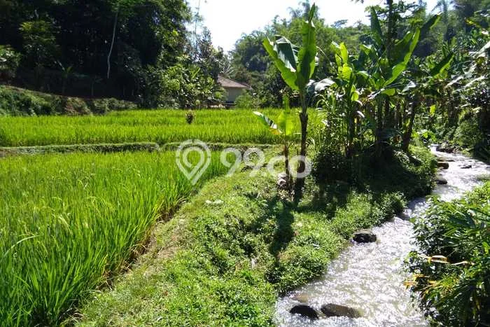 Jarang Ada! Tanah di Parakan Salak Punya Luas 14000m2 - Jarang Ada! Tanah di Parakan Salak Punya Luas 14000m2 -