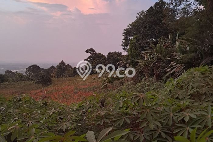 Tanah Dijual di Bogor Seluas 10000m2 Strategis Tanah Dijual di Bogor Seluas 10000m2 Strategis