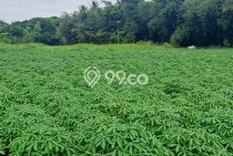 Lahan Strategis di Rumpin Dijual dengan Luas 1000m2 Lahan Strategis di Rumpin Dijual dengan Luas 1000m2