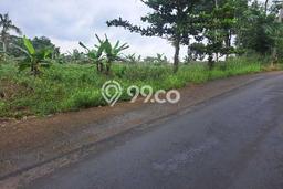 Tanah Kavling untuk Dijual di Cibinong Bogor 30000m2 Tanah Kavling untuk Dijual di Cibinong Bogor 30000m2