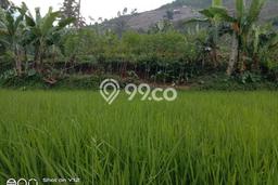 Lahan untuk Dijual di Cidahu Sukabumi Luas 9000m2 Lahan untuk Dijual di Cidahu Sukabumi Luas 9000m2