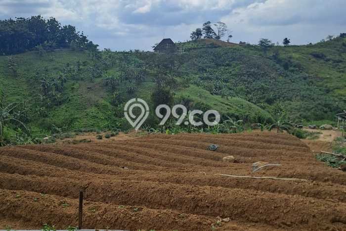 AREA PROSPEKTIF! Tanah di Sukamakmur, Luas 3500m2m², Dekat Fasilitas Umum AREA PROSPEKTIF! Tanah di Sukamakmur, Luas 3500m2m², Dekat Fasilitas Umum