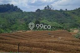 AREA PROSPEKTIF! Tanah di Sukamakmur, Luas 3500m2m², Dekat Fasilitas Umum AREA PROSPEKTIF! Tanah di Sukamakmur, Luas 3500m2m², Dekat Fasilitas Umum