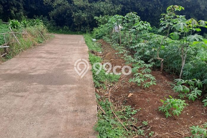Tanah Dijual Lokasi Rumpin, Bogor Luas 1000m2 Legalitas Aman Tanah Dijual Lokasi Rumpin, Bogor Luas 1000m2 Legalitas Aman