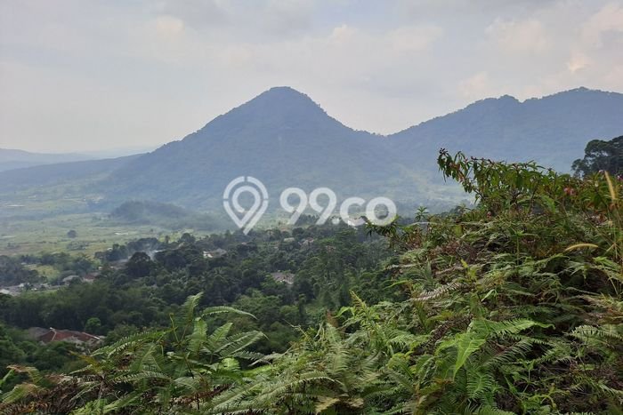 Tanah Investasi Dijual di Bogor Punya Luas 40000m2 Tanah Investasi Dijual di Bogor Punya Luas 40000m2