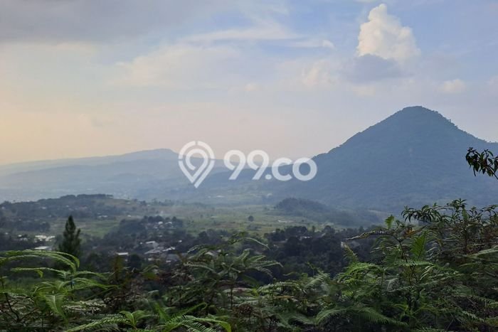 Tanah Investasi Dijual di Bogor Punya Luas 40000m2 Tanah Investasi Dijual di Bogor Punya Luas 40000m2