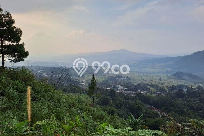 Tanah Investasi Dijual di Bogor Punya Luas 40000m2 Tanah Investasi Dijual di Bogor Punya Luas 40000m2