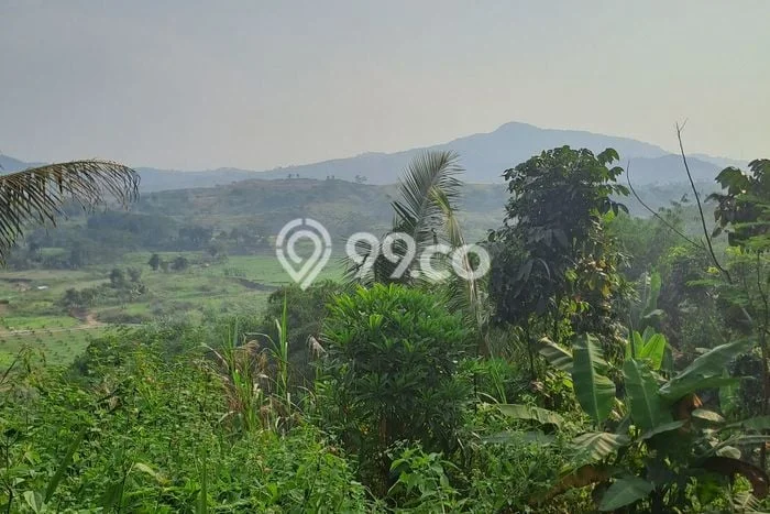 Tanah Kosong Dijual di Bogor dengan Area 10000m2 Tanah Kosong Dijual di Bogor dengan Area 10000m2